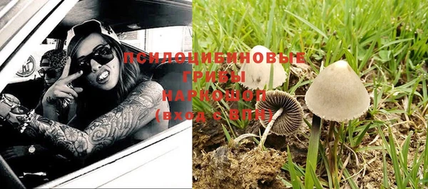 винт Заводоуковск