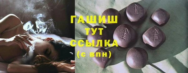 гашик Елизово