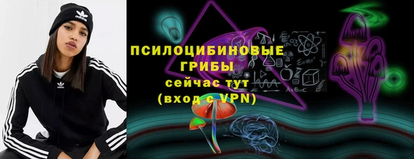 амф Елабуга