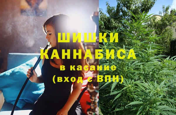 гашик Елизово