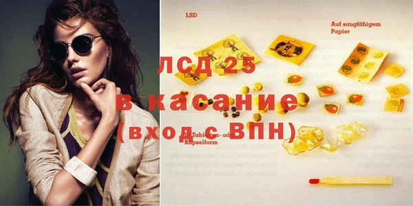 гашик Елизово